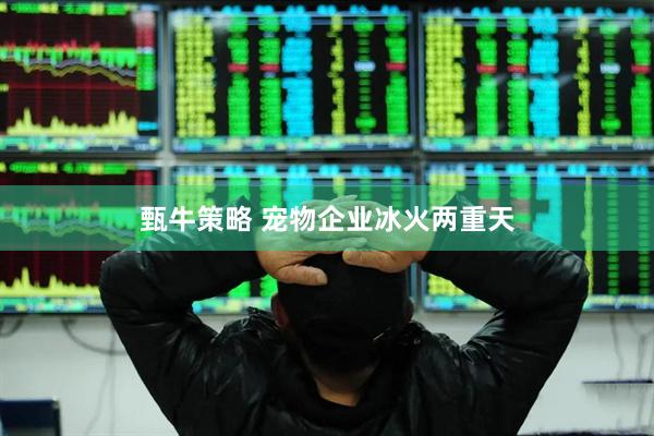 甄牛策略 宠物企业冰火两重天