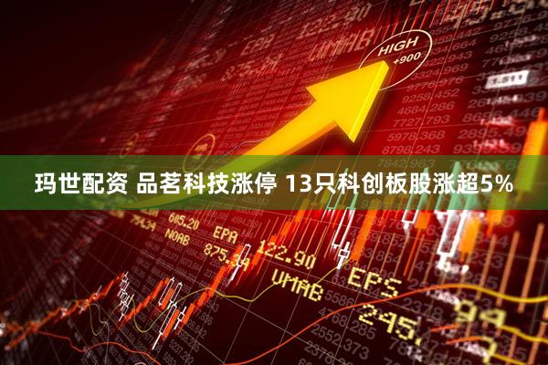 玛世配资 品茗科技涨停 13只科创板股涨超5%