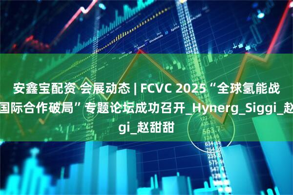安鑫宝配资 会展动态 | FCVC 2025“全球氢能战略：国际合作破局”专题论坛成功召开_Hynerg_Siggi_赵甜甜
